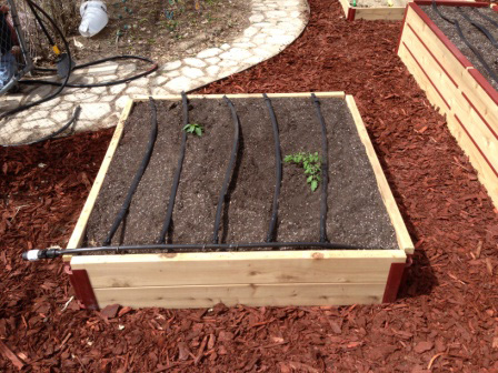 Raised Bed Drip Systems
